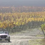 premios enoturismo 2025