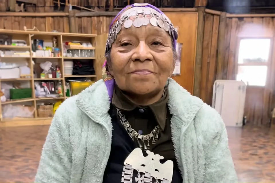 Luisa del Carmen Quechupan