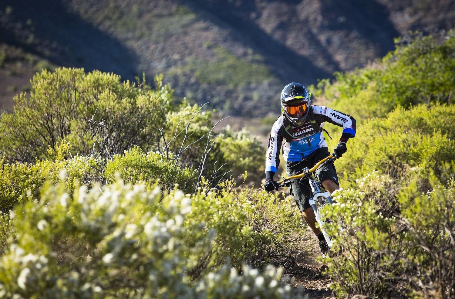 Mundial Master UCI de Mountain Bike 2026