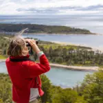 Parque_Estrecho_Magallanes_MiradorBosqueDeLosCarpinteros