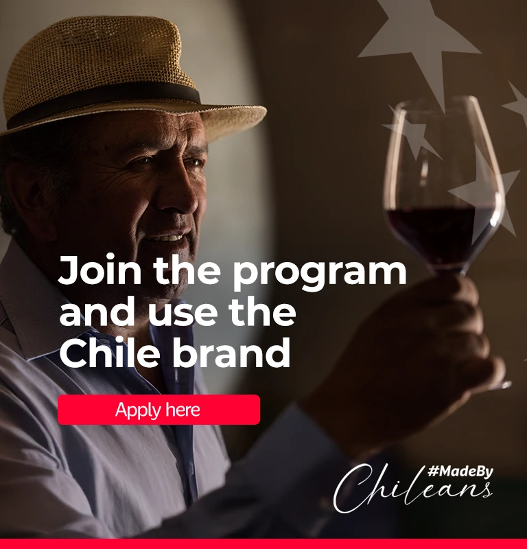 Marca Chile