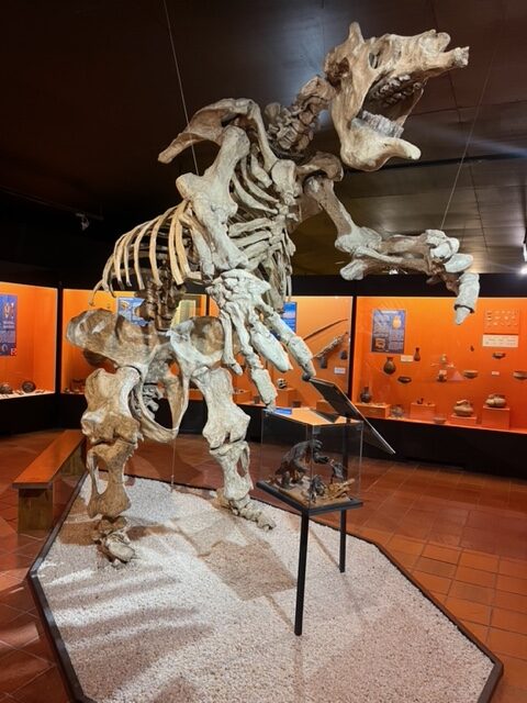30 años del Museo Colchagua: Guardianes de la herencia de un continente