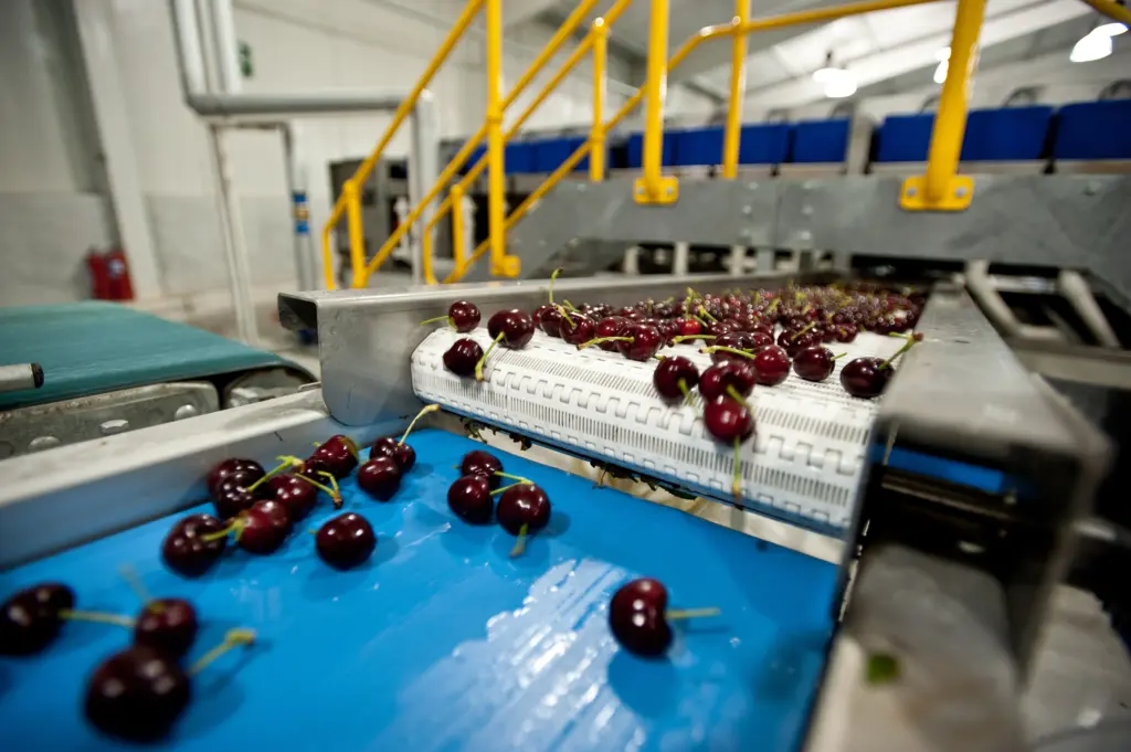 2025: año récord para las exportaciones chilenas con envíos por más de US$107.000 millones