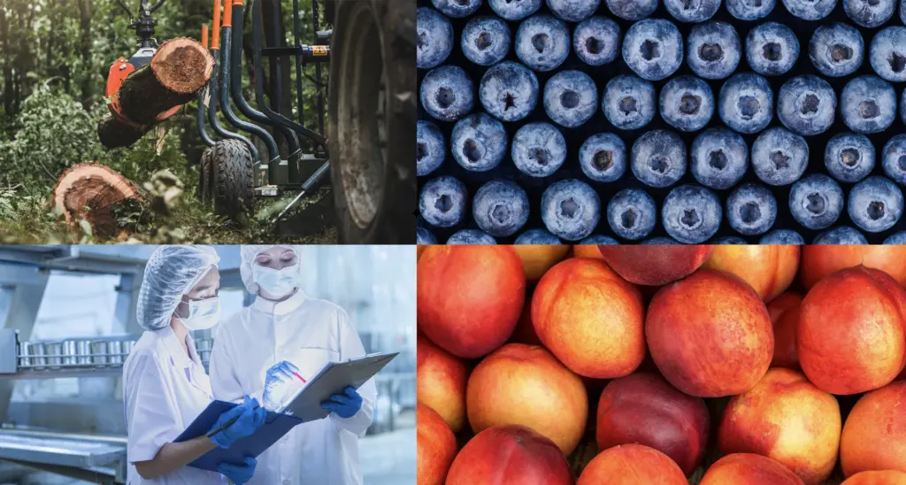 Chile inició el año superando por primera vez la barrera de los US$ 18.000 millones en intercambio comercial