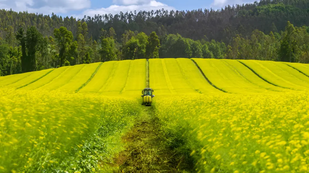 Chile y Nueva Zelanda firman Arreglo Estratégico Agrícola para fortalecer la cooperación y el comercio sostenible