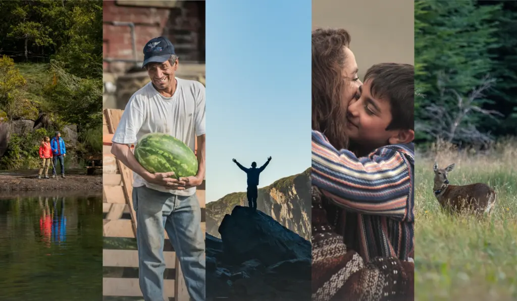 Estudio Orgullo Chileno 2026: 78% de los chilenos siente orgullo por el país y 71% por su identidad