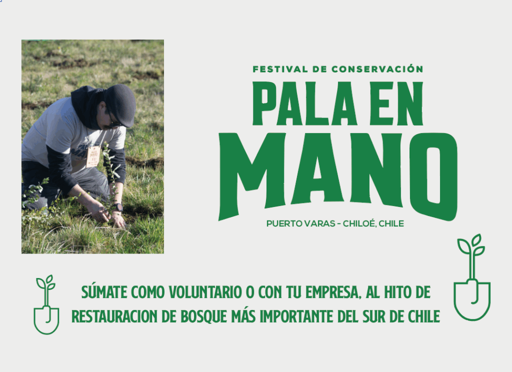 Festival de Conservação «Pala en Mano», Puerto Varas