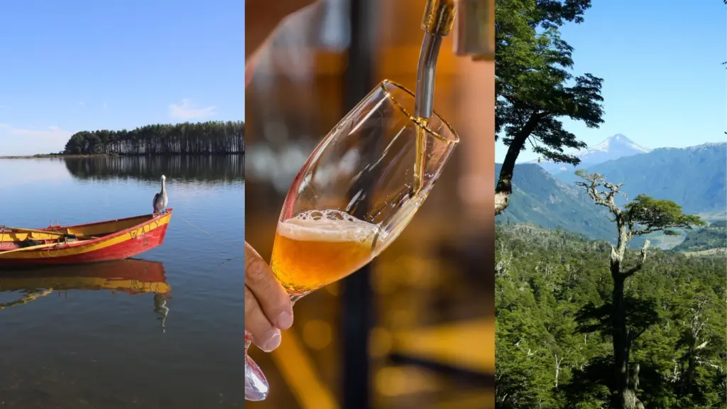 Ruta cervecera Costa Araucanía: turismo y producción local con sello Marca Chile
