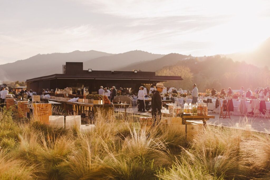 VIK celebrates the 2026 Harvest Festival: a unique experience at the world’s #1 vineyard