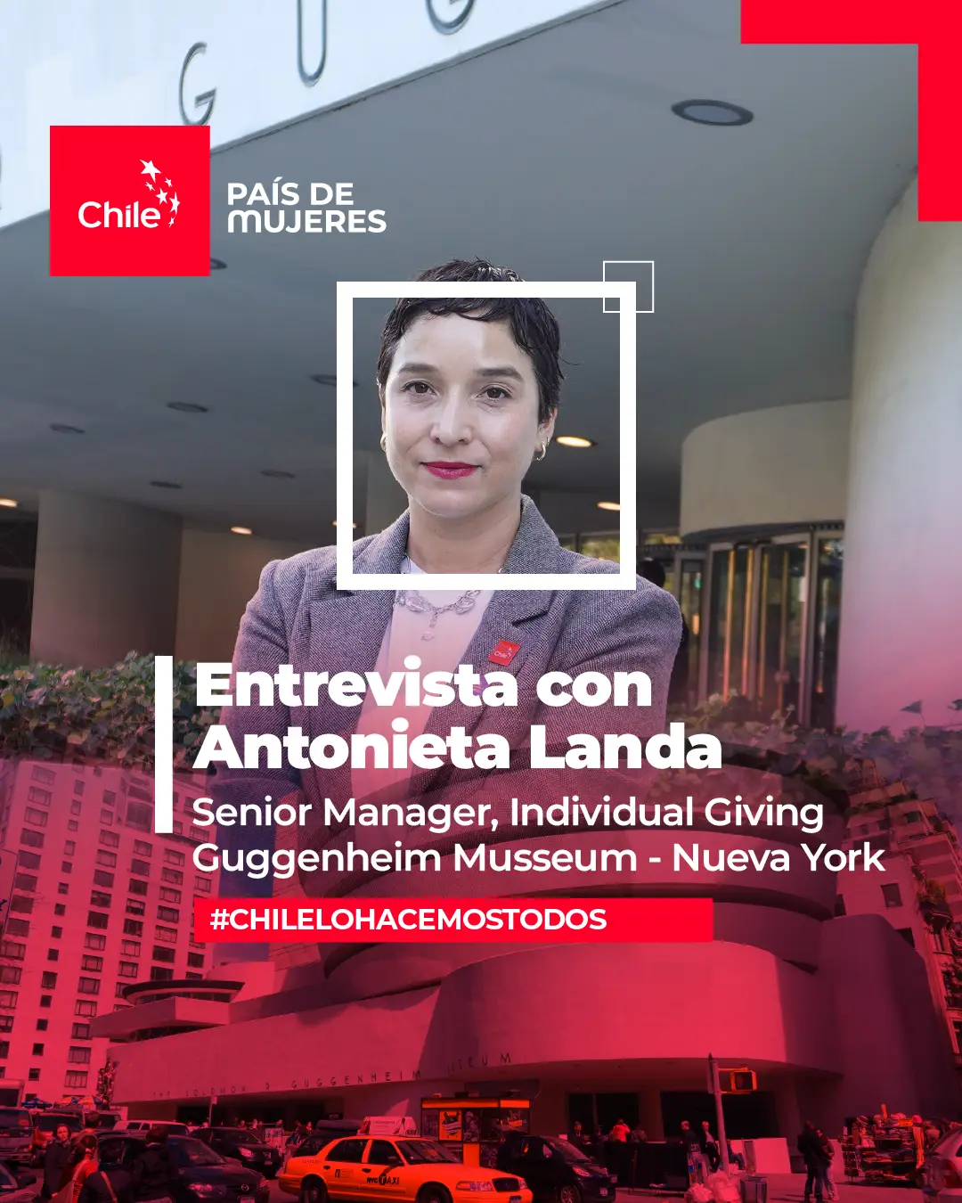 banner grilla chile lo hacemos todos Antonieta Landa_español