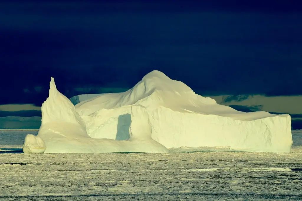 Científicos chilenos lideran debates internacionales sobre el futuro de la Antártica en Japón