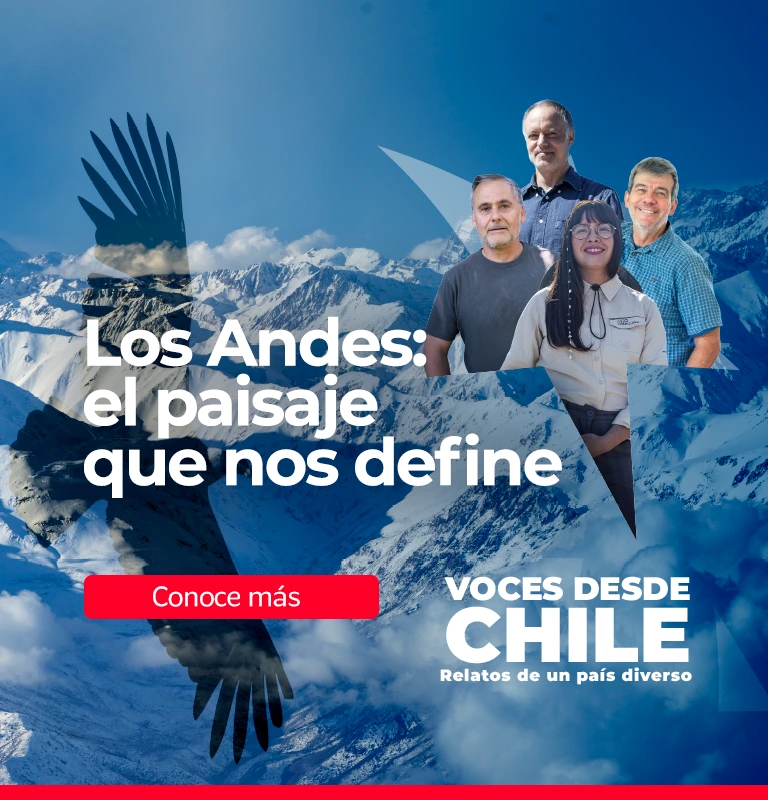 Marca Chile