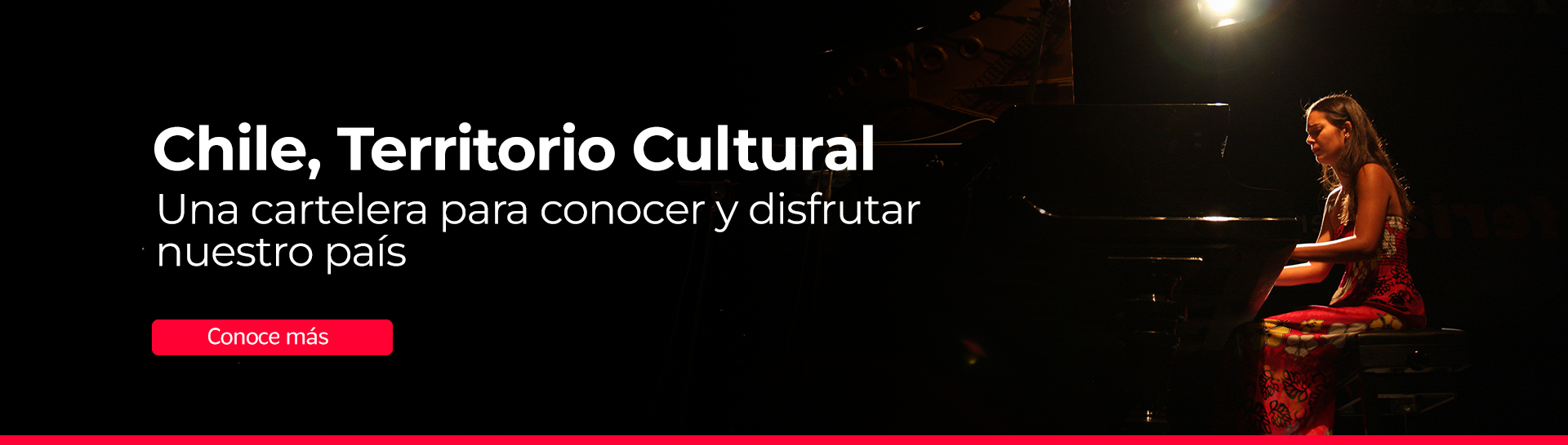 Marca Chile