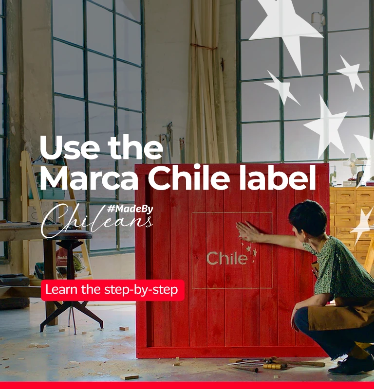 Marca Chile