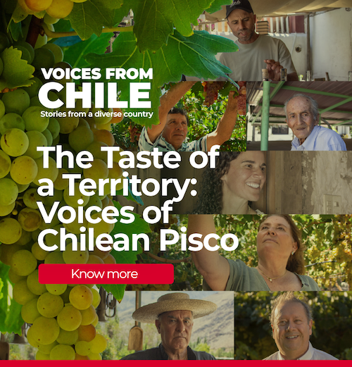 Marca Chile