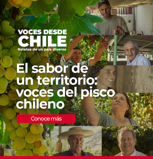 Marca Chile