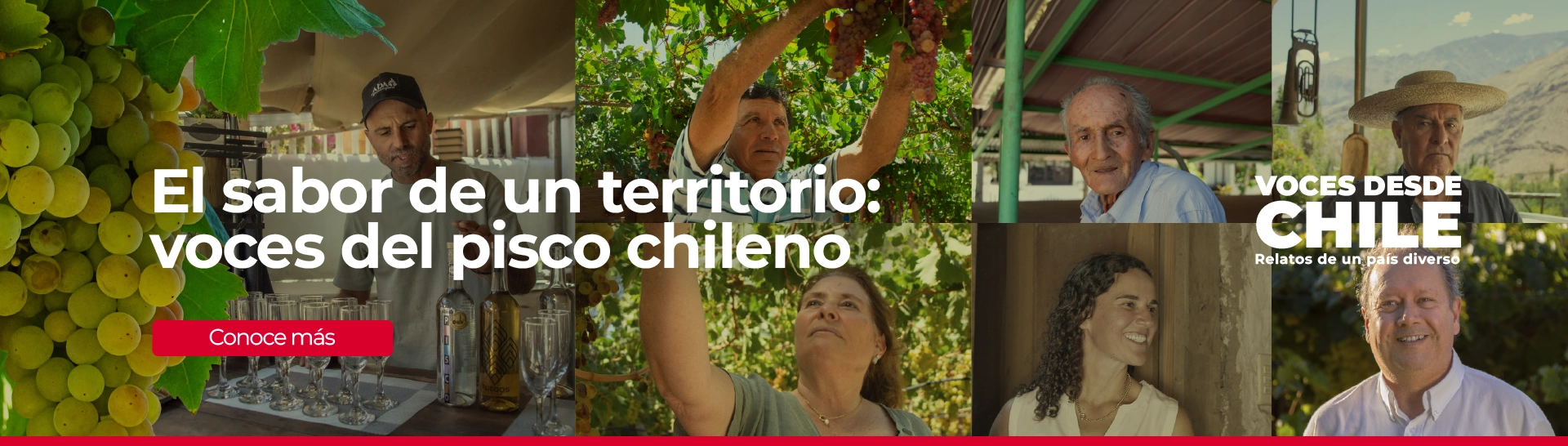 Marca Chile