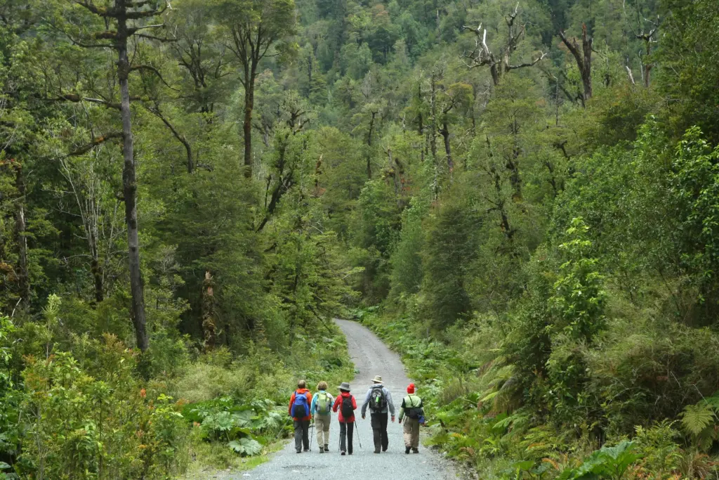Cien años de Parques Nacionales en Chile: la evolución de un sistema para proteger la naturaleza