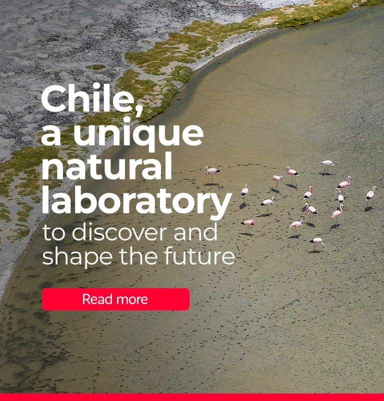 Marca Chile