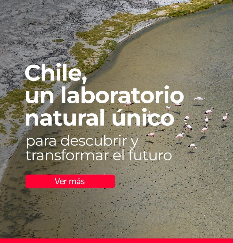 Marca Chile