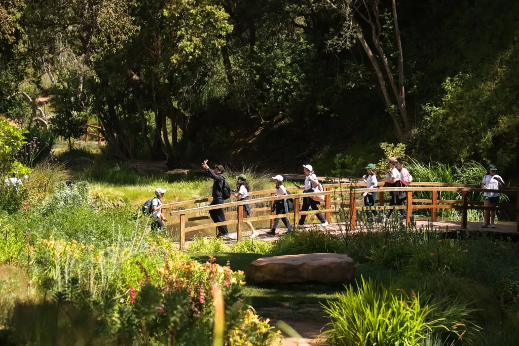 Conoce Parque Tricao, hogar del aviario de vuelo libre más grande de Sudamérica