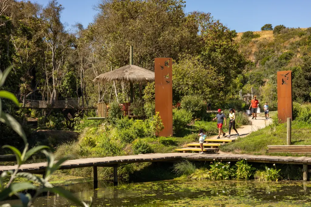 Conoce Parque Tricao, hogar del aviario de vuelo libre más grande de Sudamérica