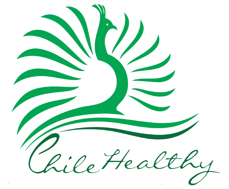Sociedad de turismo salud vergara y compañía limitada (Chilehealthy)