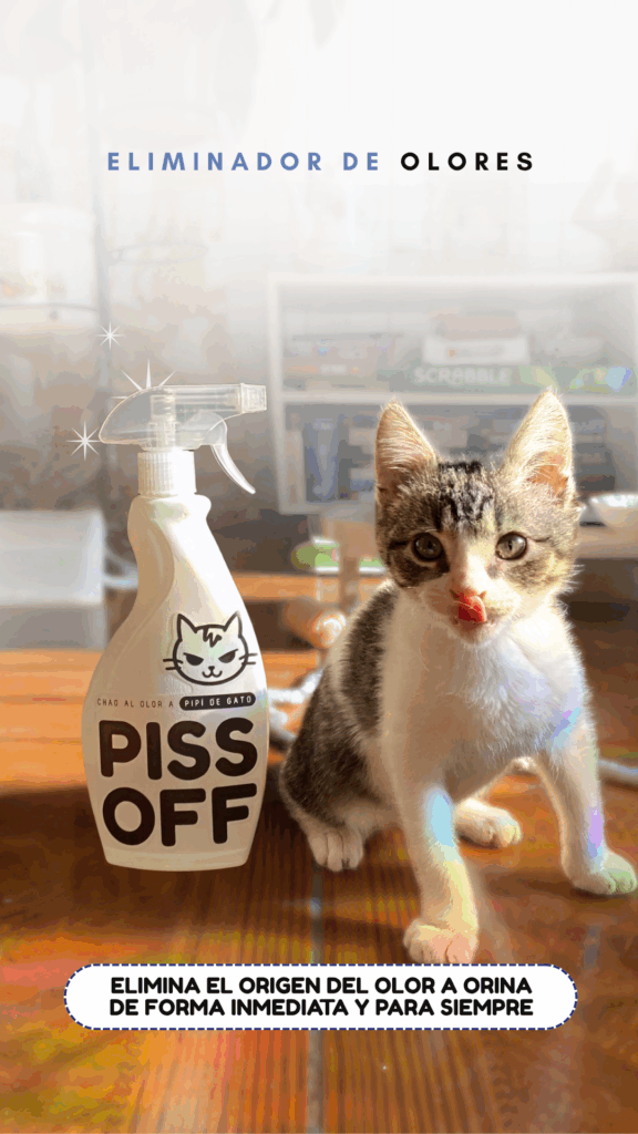 From Concepción to All of Chile: Piss Off, the biotechnology innovation that’s revolutionizing the well-being of cats at home